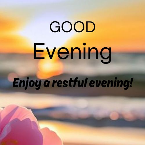 A photo of a beautiful sunset over a calm ocean with a pink flower in the foreground. The sky is a vibrant orange and yellow, and the text "GOOD EVENING" and "Enjoy a restful evening!" is superimposed over the image.