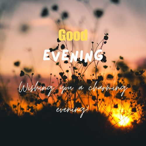 A photo of a sunset over a field of tall grasses. The sky is a gradient of orange, pink, and purple. Silhouettes of the grasses are visible against the colorful sky. The text "Good Evening" and "Wishing you a charming evening!" is superimposed over the image.