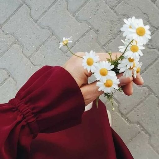 a person holding a bunch of daisies in their hand