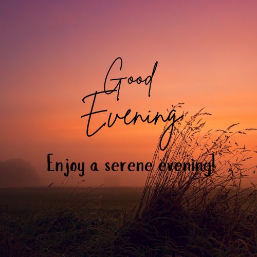  A photo of a field with tall grasses in the foreground and a vibrant sunset in the background. The sky is a gradient of orange and purple. The text "Good Evening" and "Enjoy a serene evening!" is superimposed on the image.