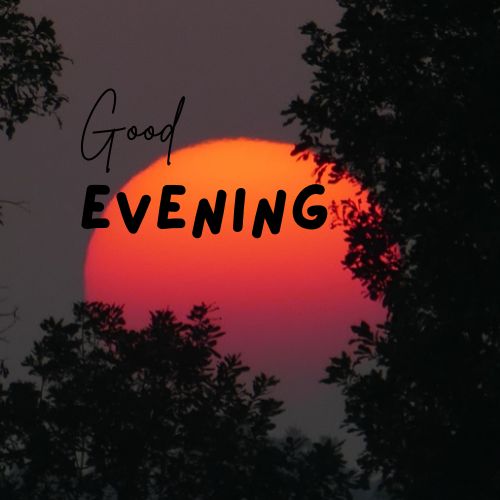  A photo of a vibrant orange sunset framed by dark silhouettes of trees. The text "Good Evening" is superimposed over the sun in a stylish font.