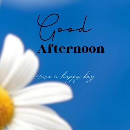  A close-up of a white daisy with a yellow center against a blue sky. The text "Good Afternoon" is written in cursive script with "Have a happy day" below it in a different font.