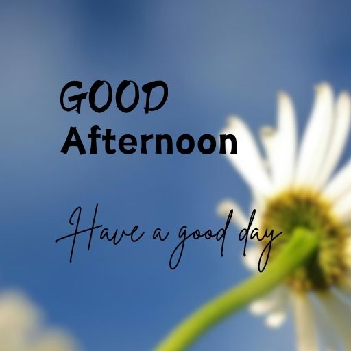  A white daisy in focus against a blurred blue sky background. The text "Good Afternoon" and "Have a good day" is superimposed on the image in black.