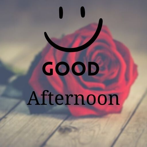  A red rose with a smiling face above it and the text "Good Afternoon" below.