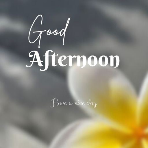 A close-up of a white plumeria flower with a blurred background. The text "Good Afternoon" and "Have a nice day" is superimposed on the image in elegant script.