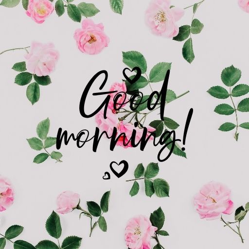  A white background with scattered pink roses and green leaves. The words "Good Morning!" are written in black cursive script with two small hearts.