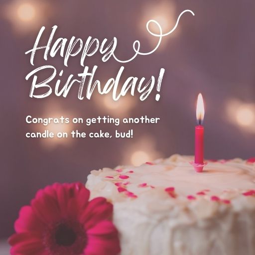 Birthday cake with a single lit candle, decorated with pink sprinkles and a pink flower. Text reads "Happy Birthday! Congrats on getting another candle on the cake, bud!"