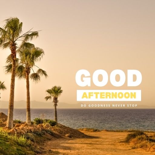  A serene beach scene with tall palm trees at sunset. The text "GOOD AFTERNOON" is superimposed over the image in bold, white letters, with the phrase "DO GOODNESS NEVER STOP" below it.