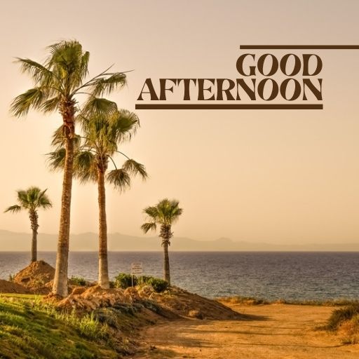  A serene beach scene with tall palm trees swaying in the wind. The text "Good Afternoon" is superimposed on the image in a bold, modern font.