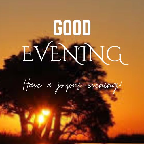  A photo of a sunset over a vast landscape with a large tree in the foreground. The sun is setting behind the tree, casting a warm glow. The text "GOOD EVENING" and "Have a joyous evening!" is superimposed over the image.