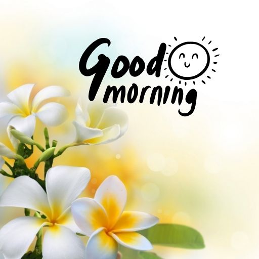 White flowers with yellow centers, possibly plumeria, are featured against a soft, blurred background. The text "Good morning" is written in cursive, with a smiling sun icon to the right.