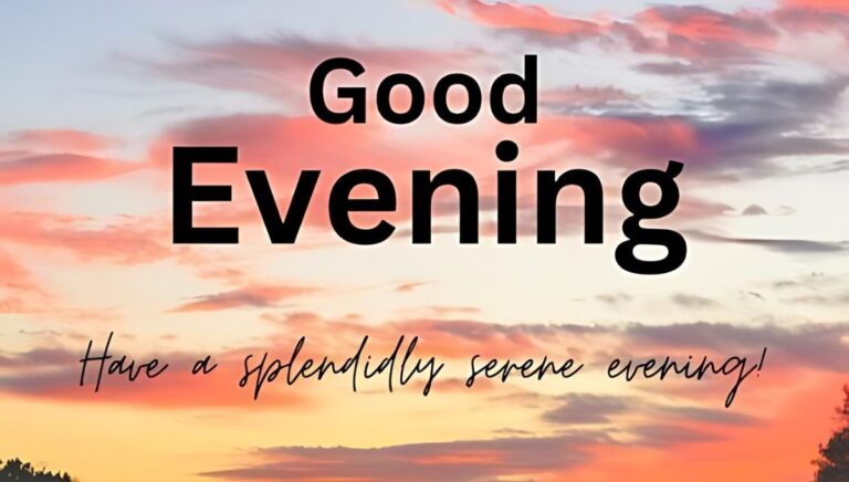 A vibrant sunset over a forest with a gradient sky transitioning from orange to pink. The text "Good Evening" and "Have a splendidly serene evening!" is superimposed on the image in bold, dark text.