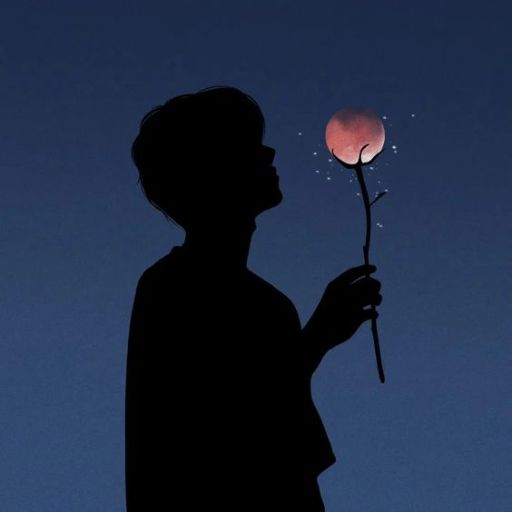 a silhouette of a person holding a flower