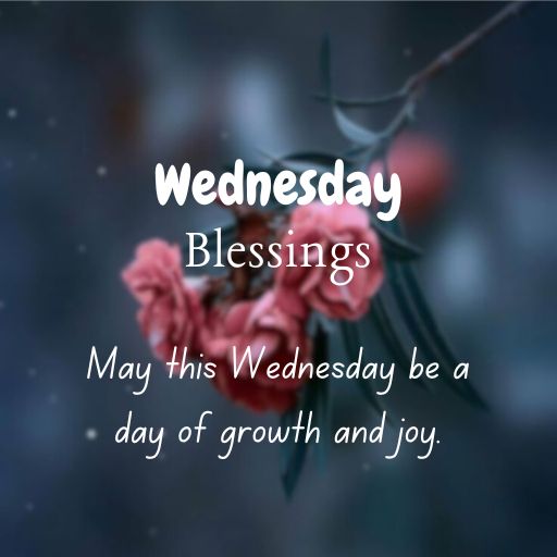 a picture of a flower with the words wednesday blessing