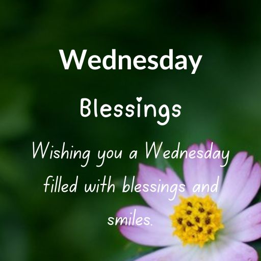 a pink flower with the words wednesday blessing