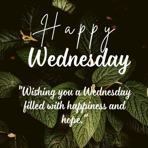 a bunch of green leaves with the words happy wednesday