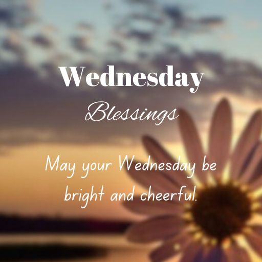 a picture of a flower with the words wednesday blessing