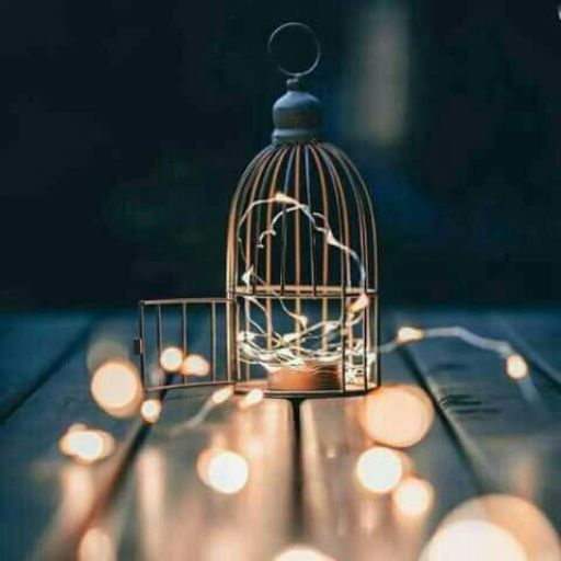 Open birdcage with string lights on a wooden table against a dark background