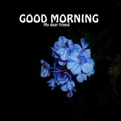 a blue flower with the words good morning on it