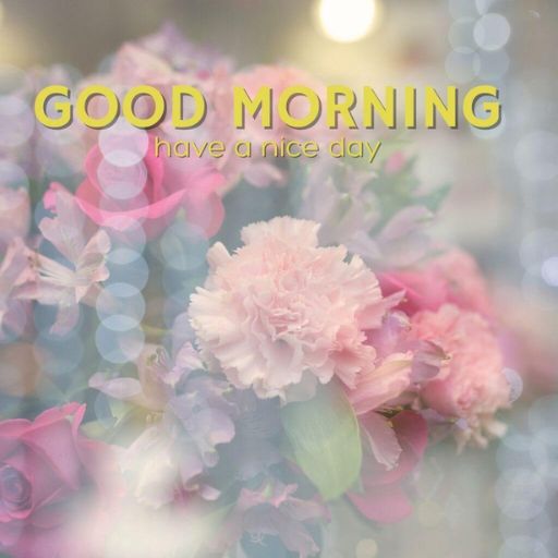 a bouquet of pink flowers with the words good morning have a nice day