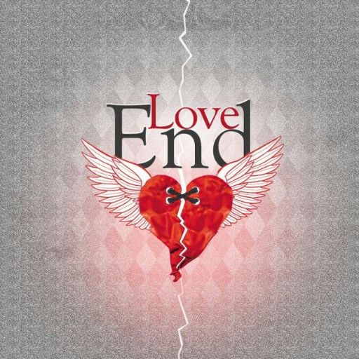 a broken heart with the words love end