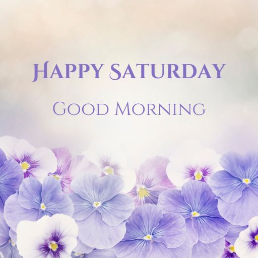 a bunch of purple flowers with the words happy saturday good morning