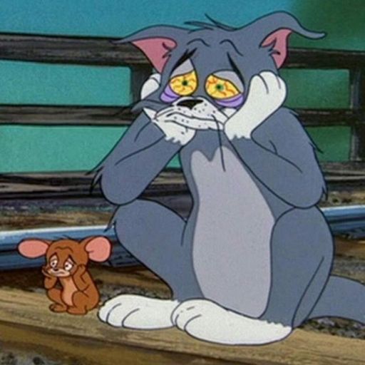 a cat sitting on top of a wooden bench next to a teddy bear