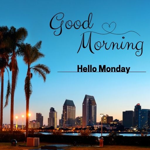 a city skyline with palm trees and the words good morning hello monday