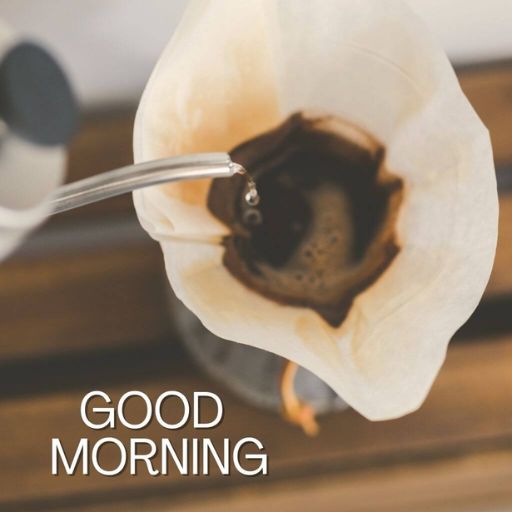 a close up of a flower with a spoon in it