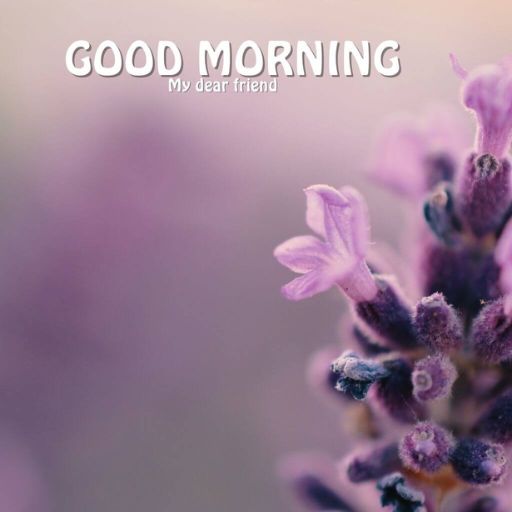 a close up of a flower with the words good morning on it