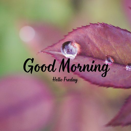 a close up of a leaf with the words good morning on it