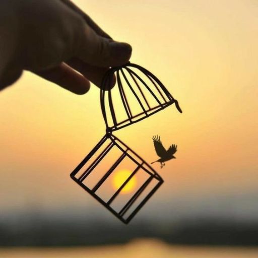 a person holding a bird in a cage