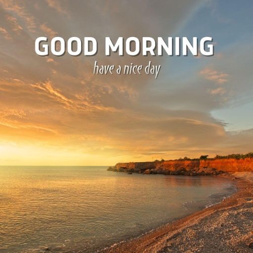 a picture of a beach with the words good morning have a nice day