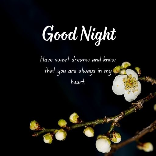 a picture of a flower on a branch with the words good night