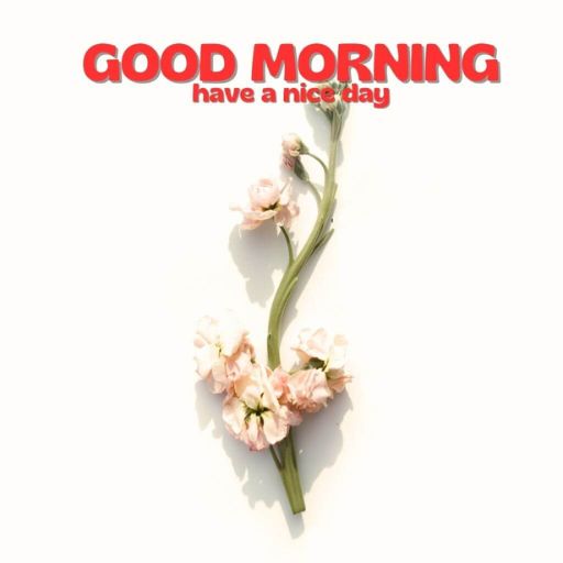 a picture of a flower with the words good morning have a nice day