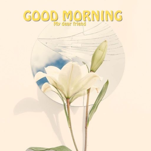 a picture of a flower with the words good morning on it