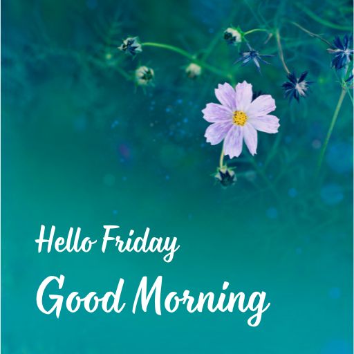 a picture of a flower with the words hello friday good morning