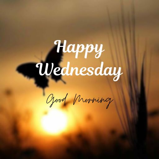 a picture of a sunset with the words happy wednesday good morning