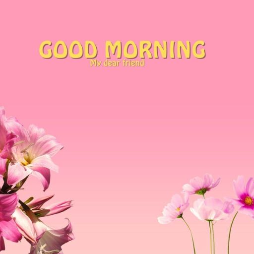 a pink background with pink flowers and the words good morning