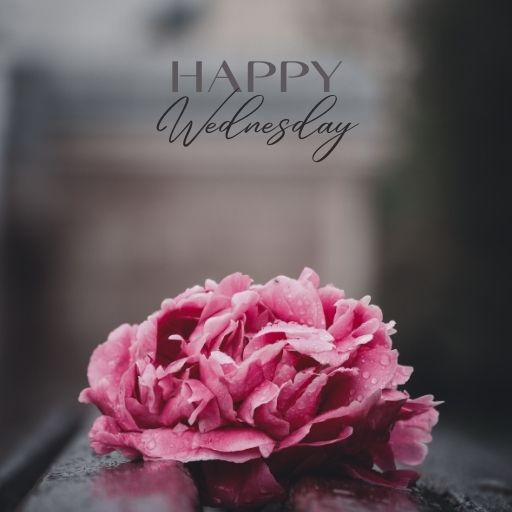 a pink flower sitting on top of a wooden table