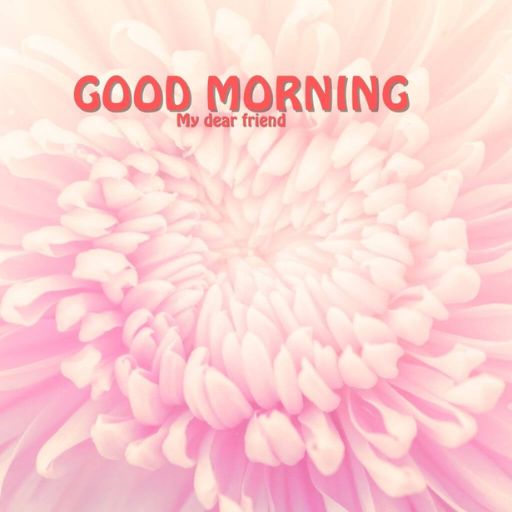 a pink flower with the words good morning my dear friend