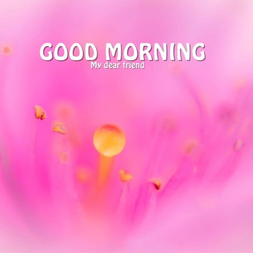 a pink flower with the words good morning on it (2)