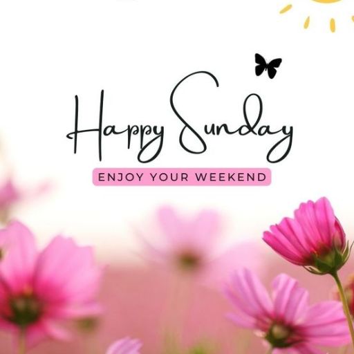 a pink flower with the words happy sunday on it