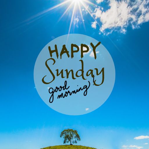 a sunny day with the words happy sunday good morning