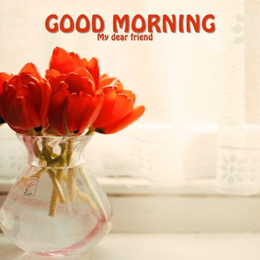 a vase filled with red flowers on top of a table