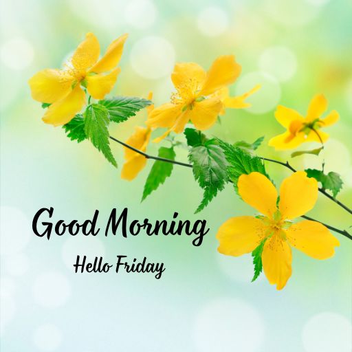 a yellow flower with the words good morning hello friday