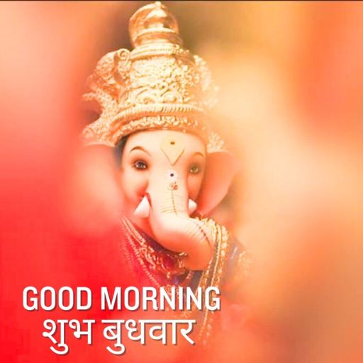 an image of an elephant with the words good morning on it