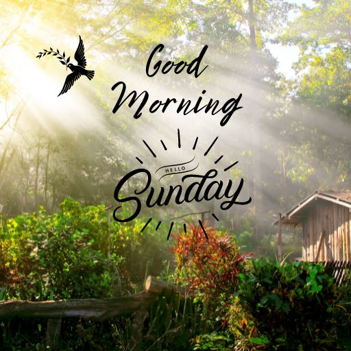 the words good morning and a picture of a house in the woods