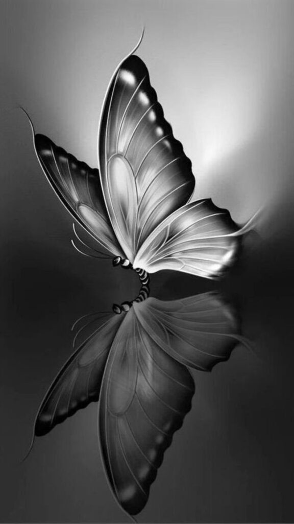 A grayscale image of a delicate butterfly with intricate wing patterns.