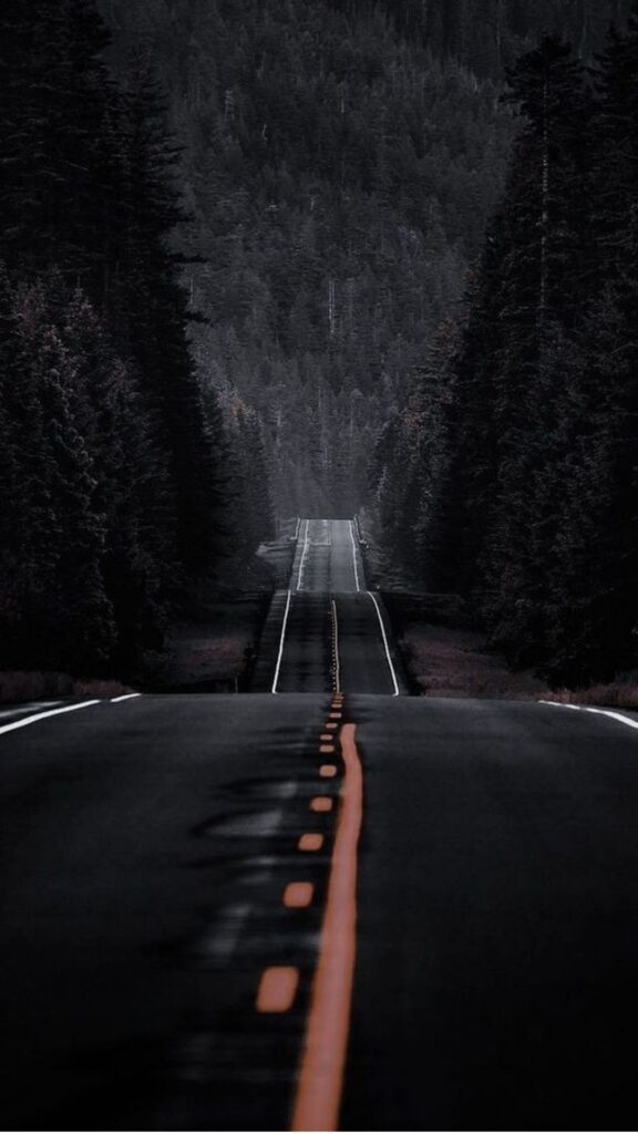 An empty road leading through a dense, misty forest with dark trees